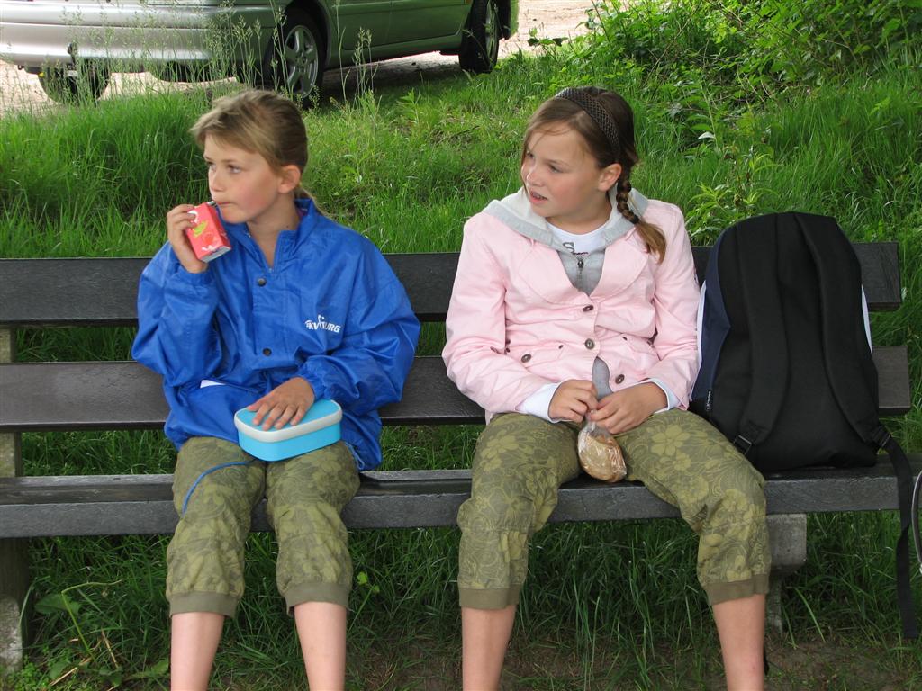 IMG_5962 (Large).jpg